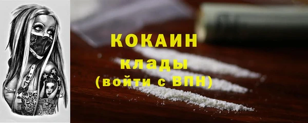PSILOCYBIN Абаза