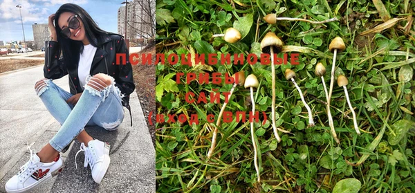 PSILOCYBIN Абаза