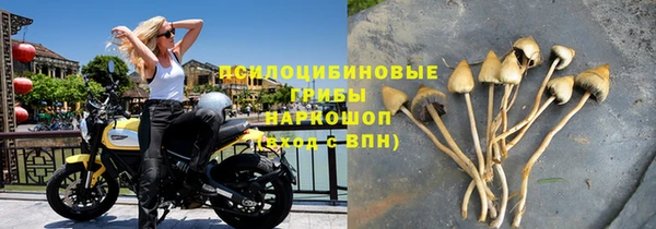 PSILOCYBIN Абаза