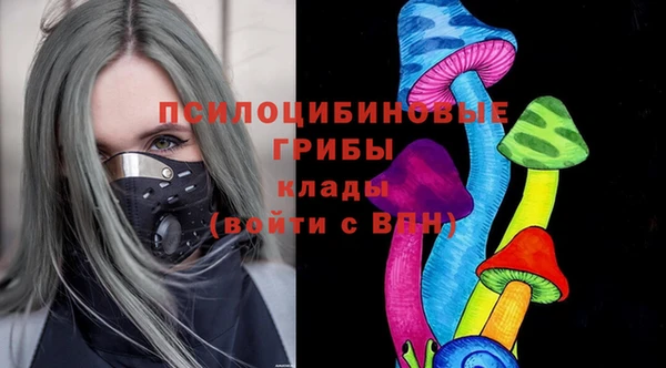 PSILOCYBIN Абаза