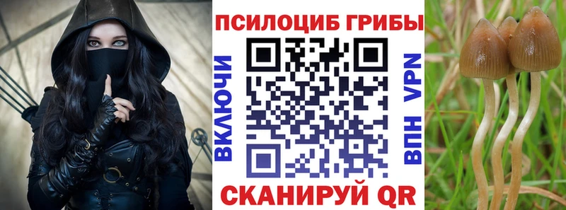 наркошоп  Хабаровск  Псилоцибиновые грибы MAGIC MUSHROOMS 